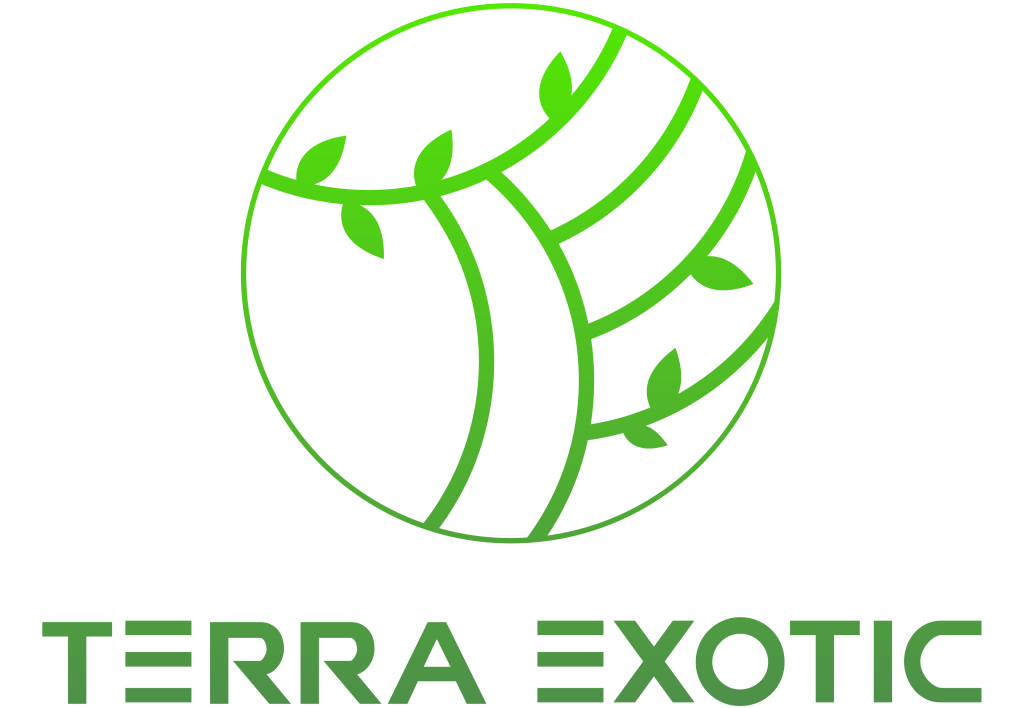 TerraExotic Logo